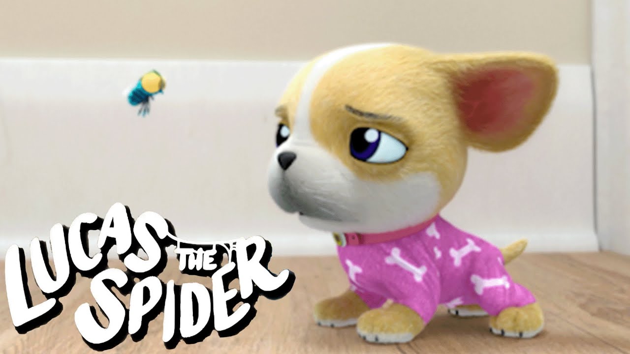 Avocado Gets Into TROUBLE! + More Lucas the Spider Cartoons for Kids