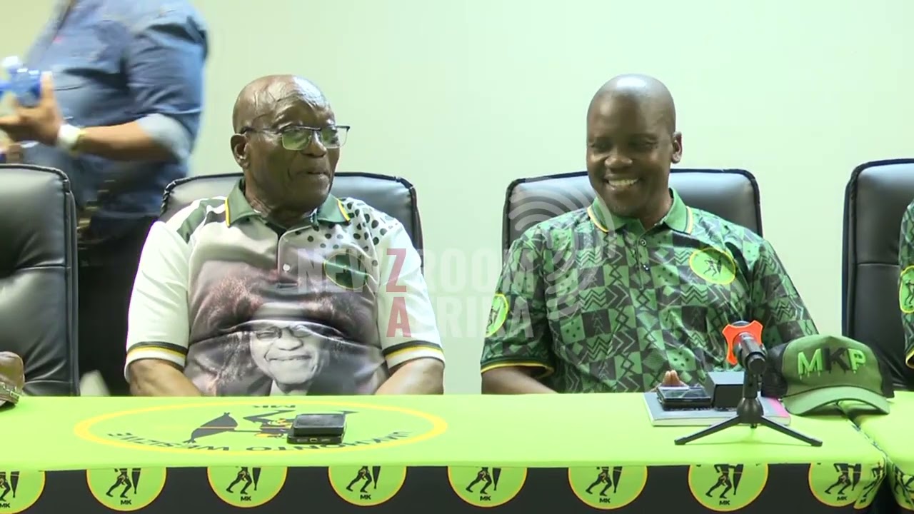 Analyst speaks on Duduzile Zuma-Sambudla's resignation
