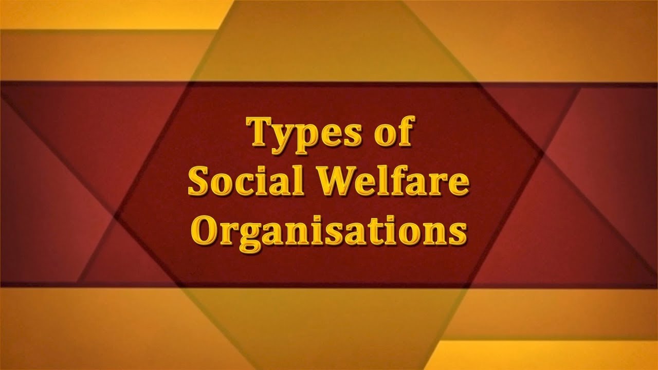 Types of Social Welfare Organisations