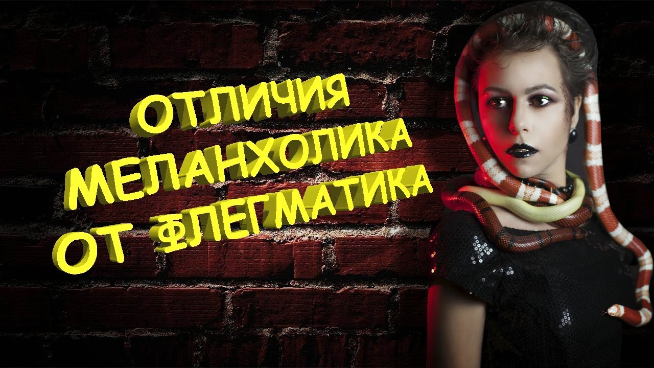 Меланхолик и флегматик. Отличия с примерами из фильмов 😦😐