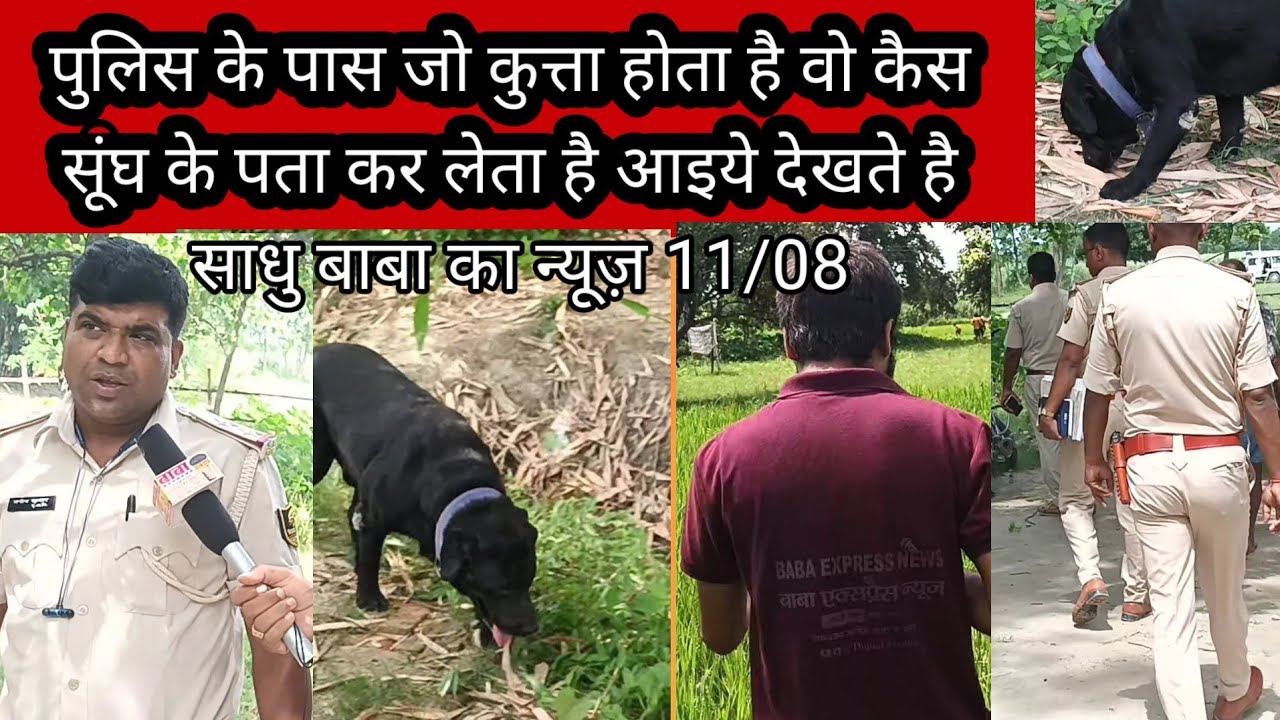 कुत्ता  कैस सूंघ के पता करता है आइये देखते है