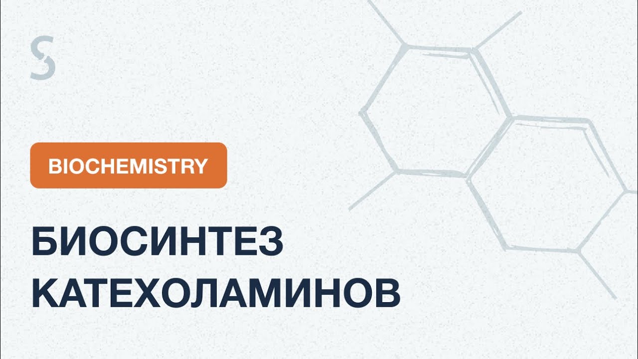 USMLE Step 1 - Биосинтез Катехоламинов