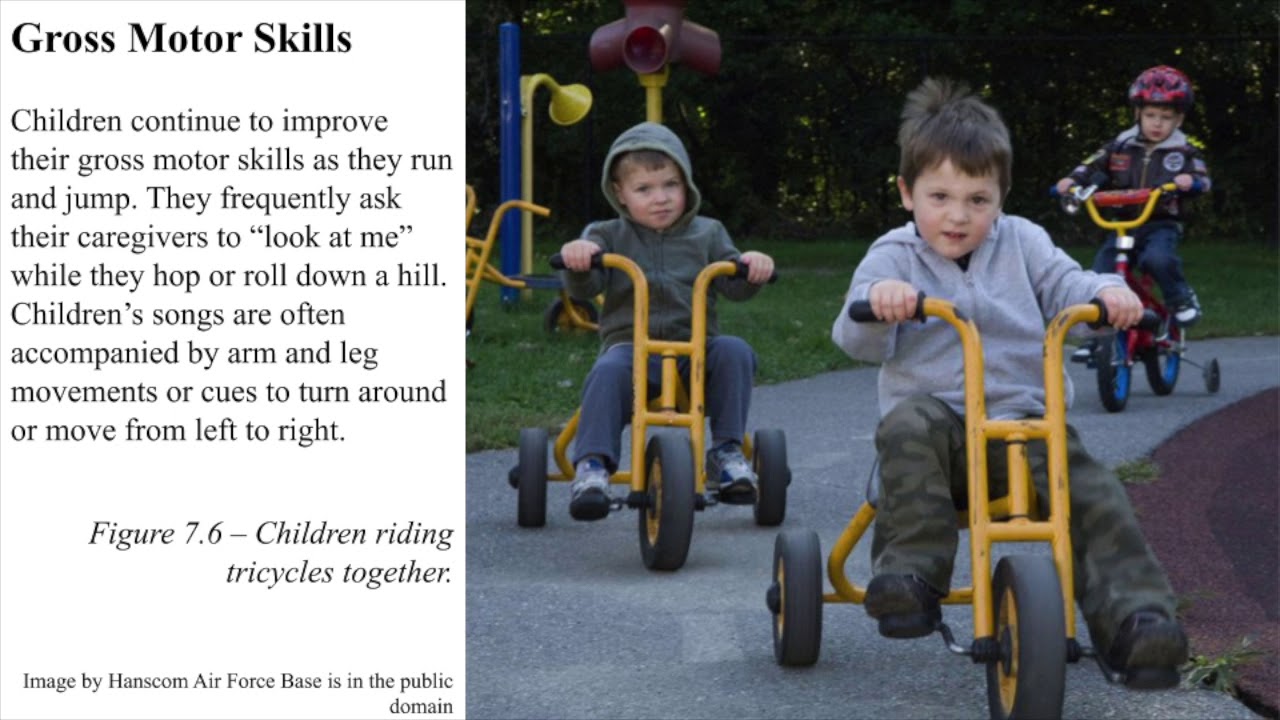 Physical Development in Early Childhood