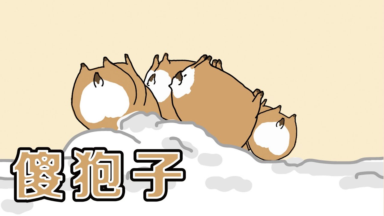 狍子|傻狍子到底傻不傻？#少儿科普 #狍子 #动物趣事 #动物解说 【毛茸茸的星球】