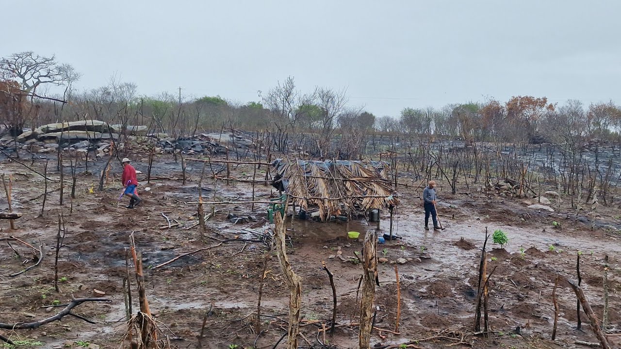 Um forte temporal de chuva 🌧 na caatinga, chuveu muita que alagou a roça do Zezinho 13.02.2023
