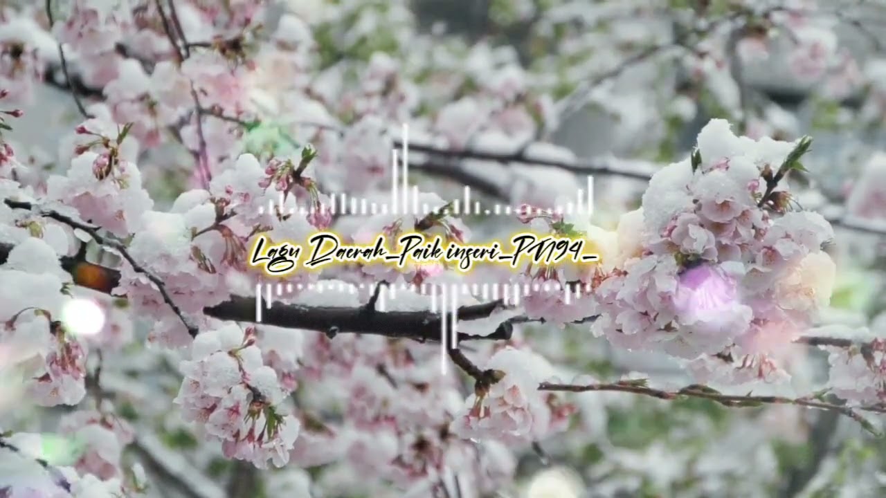 Lagu Daerah_Biak--judul_( Paik_Inseri ) cover_ai_PN⁹4_@pn94_17 