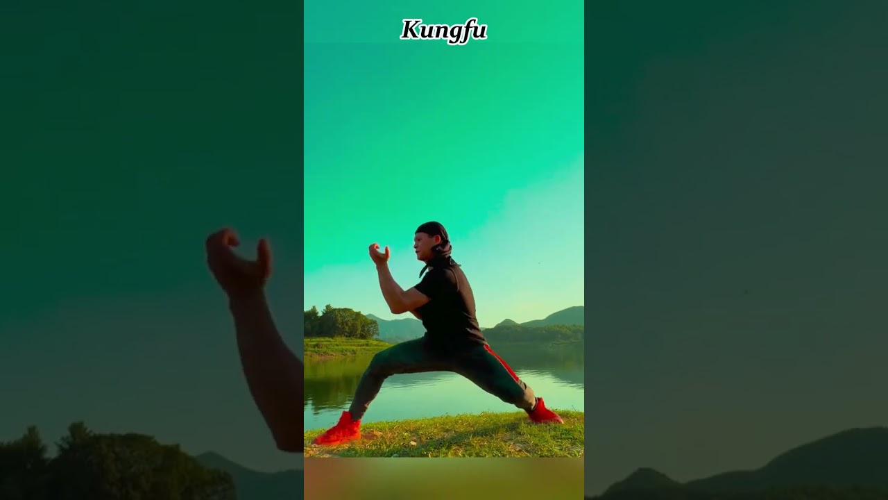 Kungfu. #chinesemartialarts #traditionalkungfu #martialarts