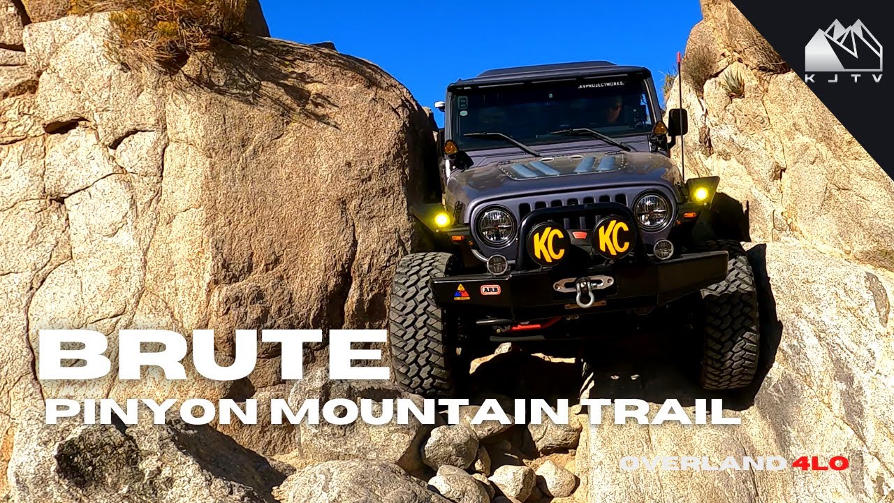 Pinyon Mountain Trail | 50% CHANCE OF BODY DAMAGE!!!