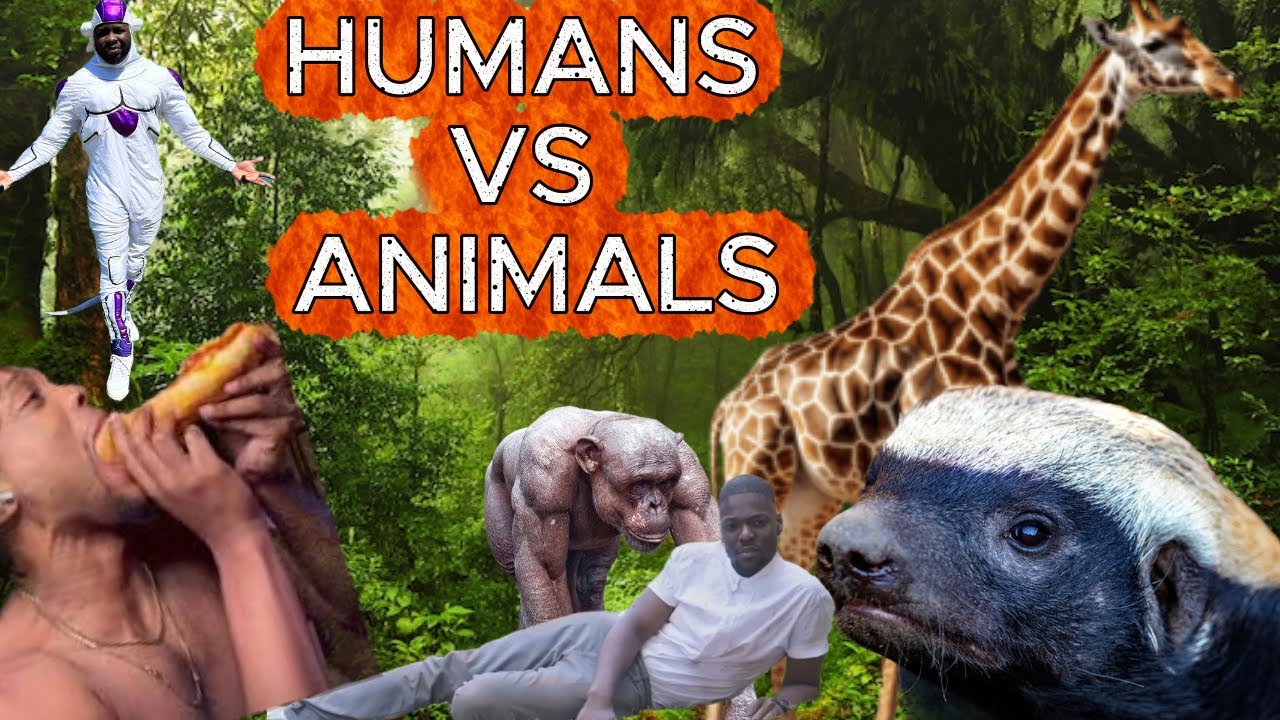 HUMANS VS ANIMALS: THE OBJECTIVE LIST