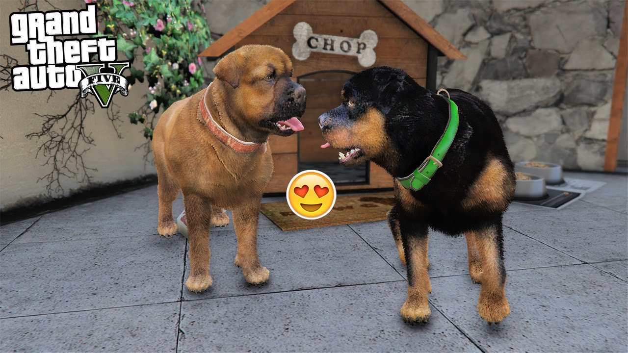 CHOP the DOG gets a GIRLFRIEND!!! (GTA 5 Mods)