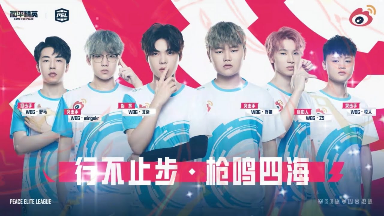 WBG 16 kills chicken in PEL scrims | Z9 7 solo kills | WBG Beizhai
