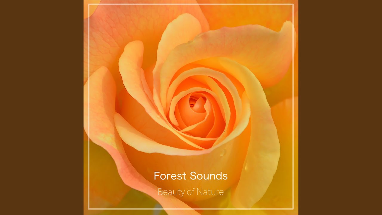 Suburban Nature
