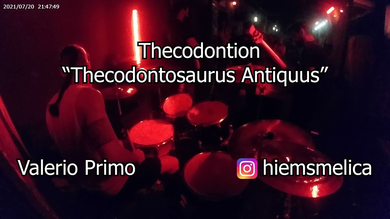 Valerio Primo - Thecodontion - 