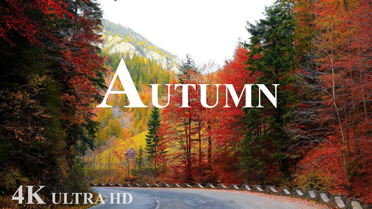 BEAUTIFUL AUTUMN 4K UHD | RELAXING TIME Q | GENTLE, RELAXING PIANO MUSIC
