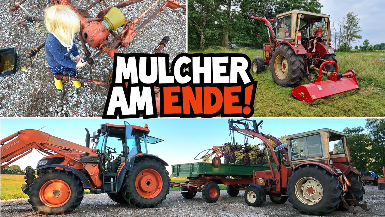 GRAS zu HOCH oder Mulcher zu SCHLECHT? | DEMA Mulcher am ENDE! | Heuwender fit gemacht | IHC 633