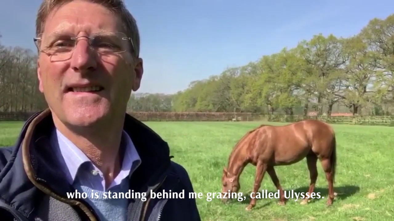 Cheveley Park Stud   A virtual visit Spring 2020
