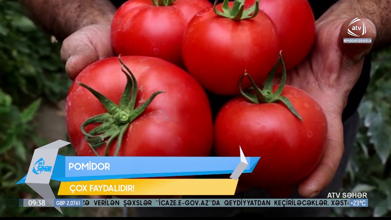 Pomidorun faydaları (ATV Səhər)