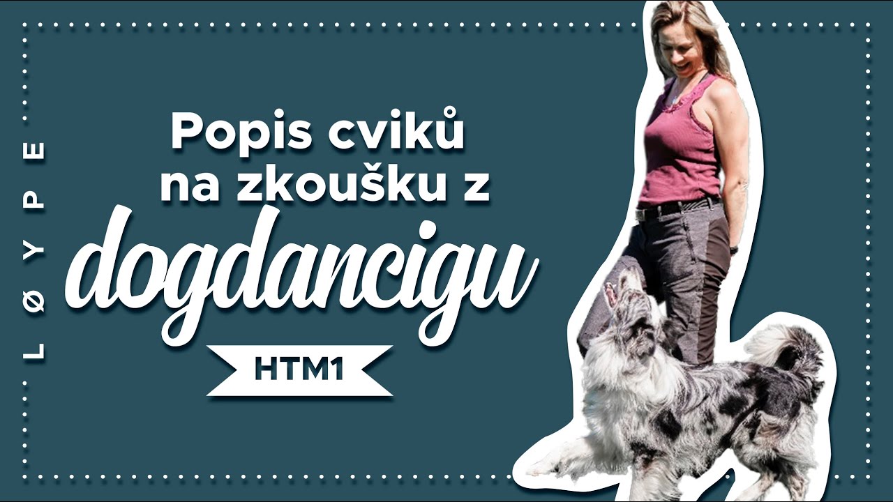 Popis cviků na zkoušku z dogdancingu | heelwork to music 1