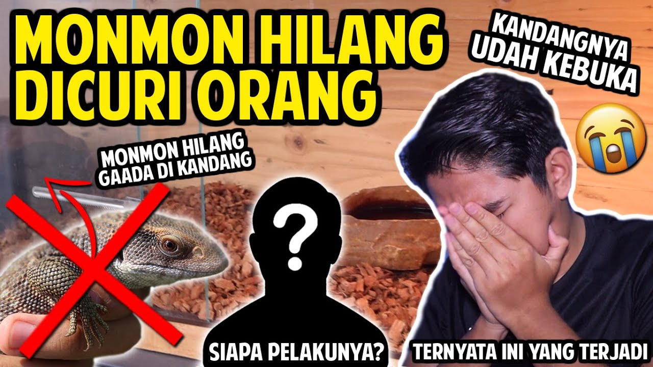 MONMON HILANG DICURI ORANG! TERCIDUK PELAKUNYA!