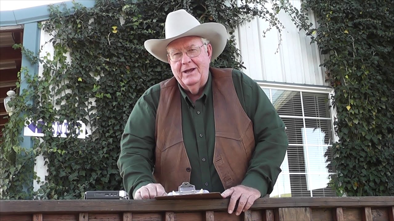 Heloties Texas Longhorn Marketing Seminar