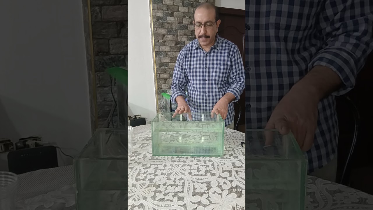 أسرار تفريخ سمكة البيتا أو الفايتر للهواة المبتدئين   للتواصل   +201065419419  #bettafish