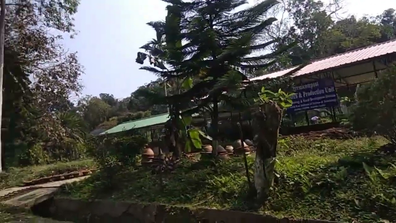 Memorable days in CSIR Jorhat 