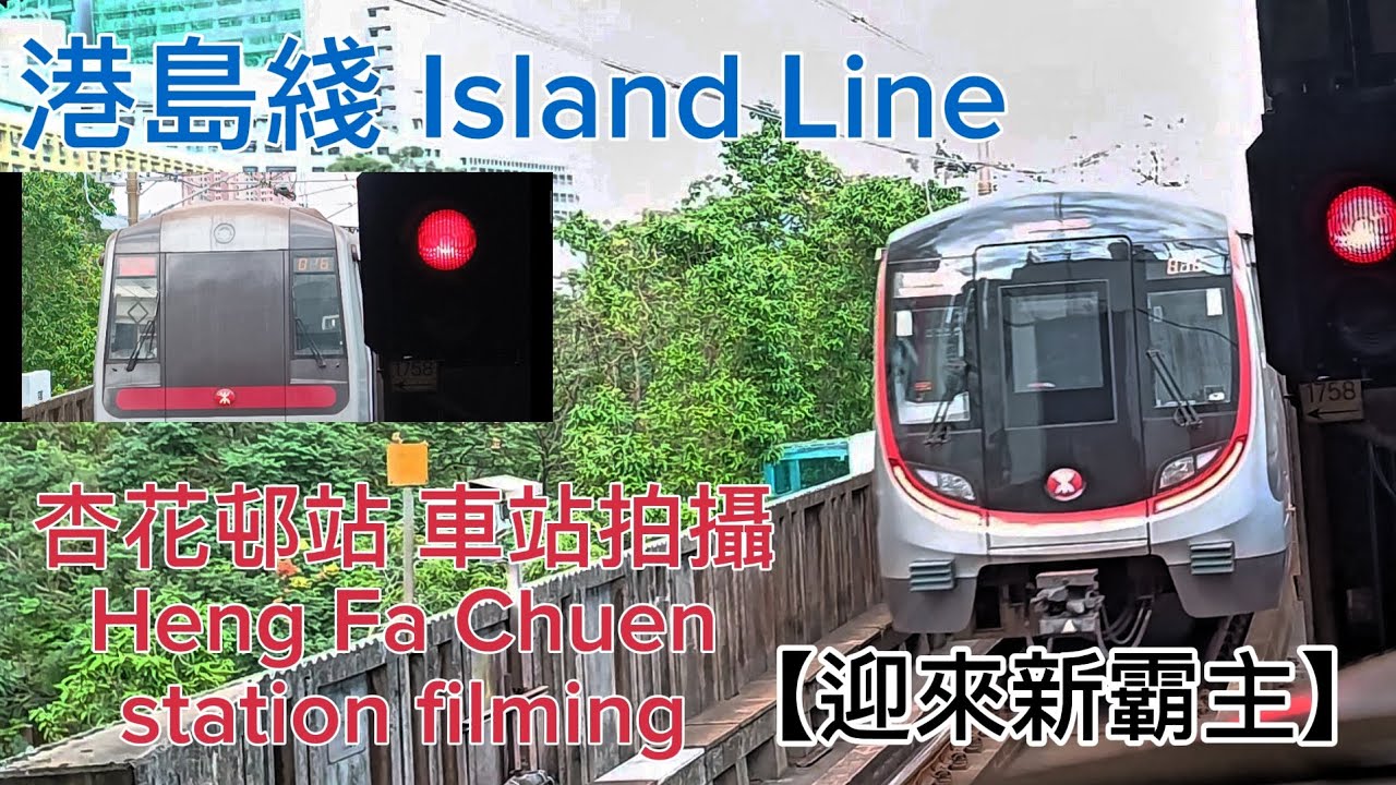 【迎來新霸主】#港鐵 #港島綫 #柴灣站 #車站拍攝 M-train M車 Q-train Q車