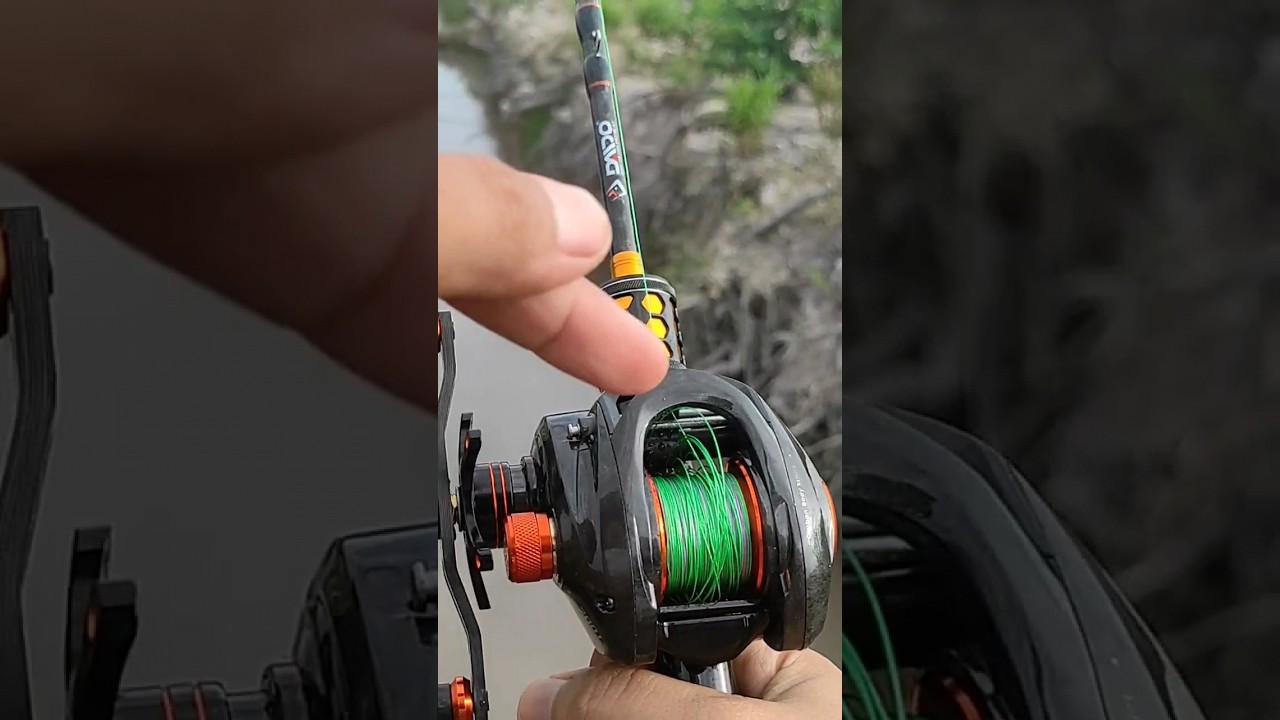 Backlash Daido Predator Baitcasting Reel