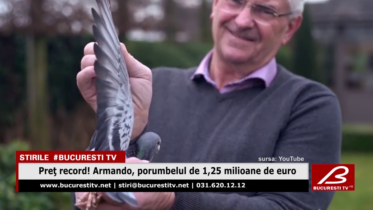Preţ record! Armando, porumbelul de 1,25 milioane de euro