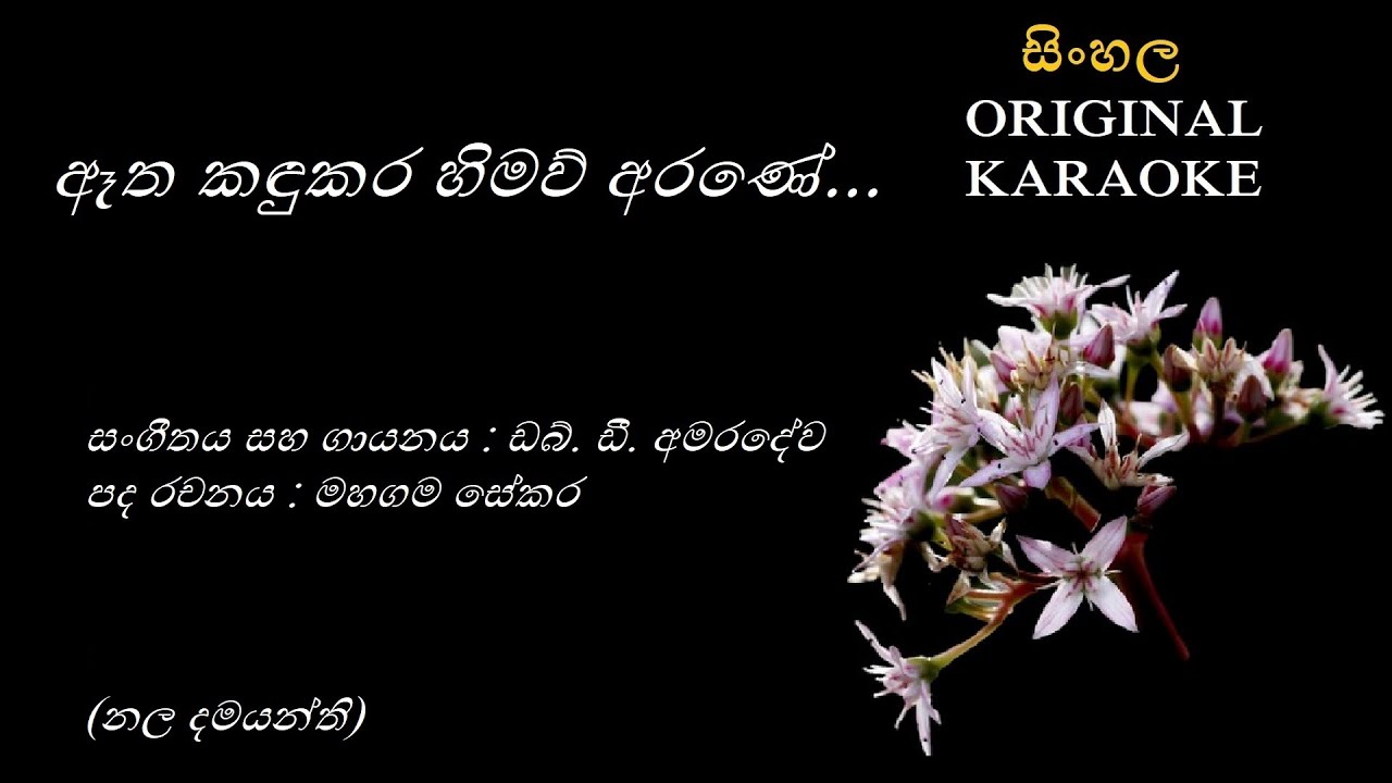 Aetha Kandukara - ඈත කඳුකර - KARAOKE - WD Amaradewa/Mahagama Sekara/WD Amaradewa