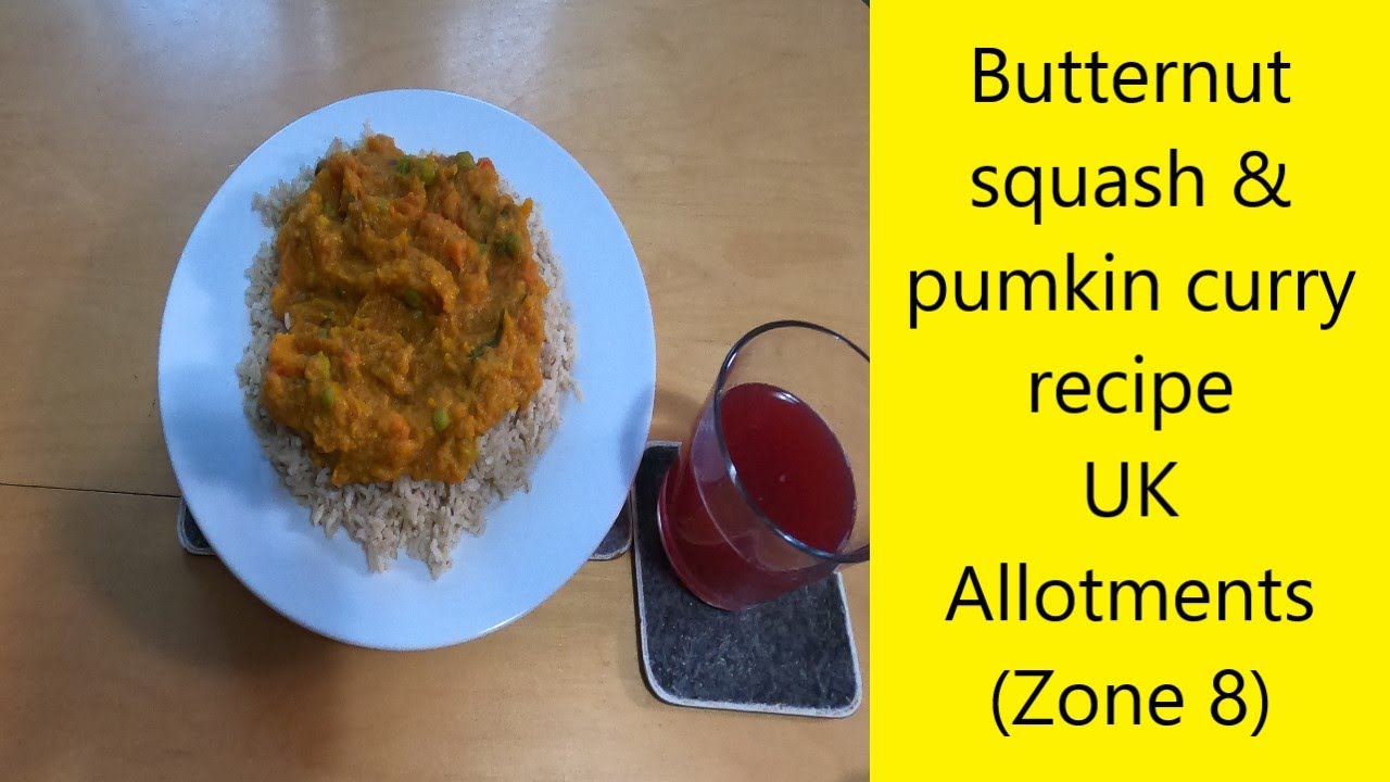Butternut squash & pumpkin curry recipe - UK Allotments (Zone 8)