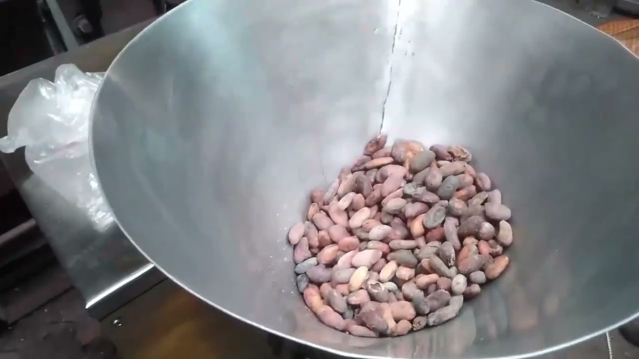 Prensa de tornillo extracción aceites y manteca de cacao / copoazu