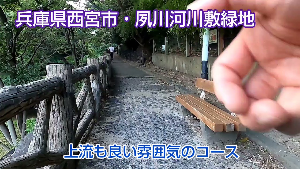 【ランニング】兵庫県西宮市・夙川河川敷緑地　～松や桜のある趣のある公園