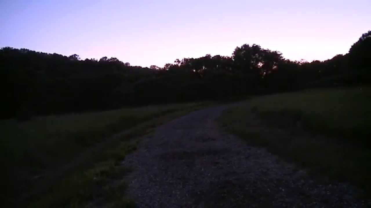 Fireflies or Lightning Bugs - Rasmussen Woods Mankato, MN