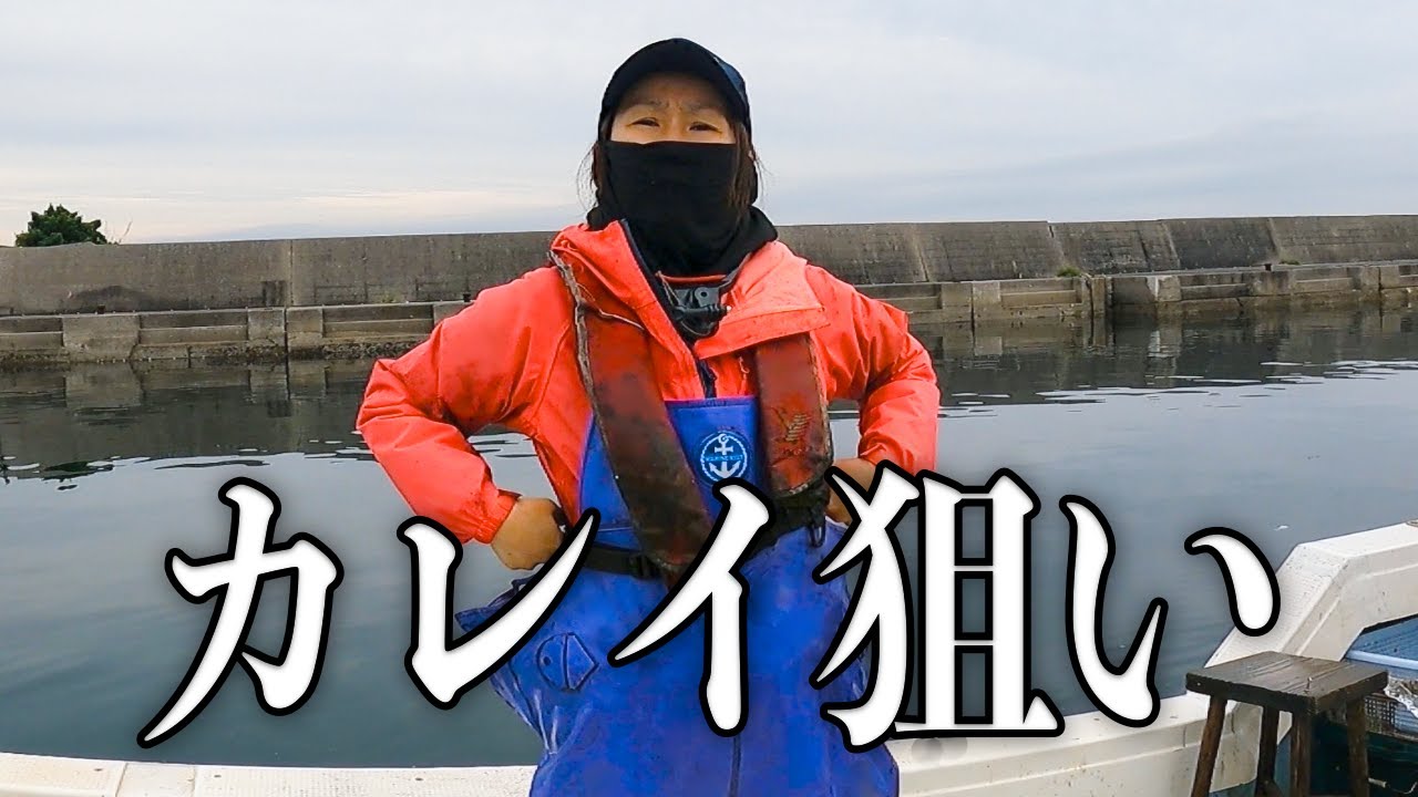 カレイを求めてイカに出会う建網漁の一幕！