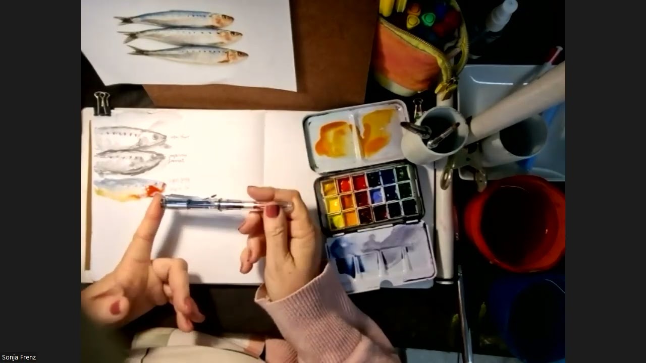 14 May 2025 Sketchbook Session