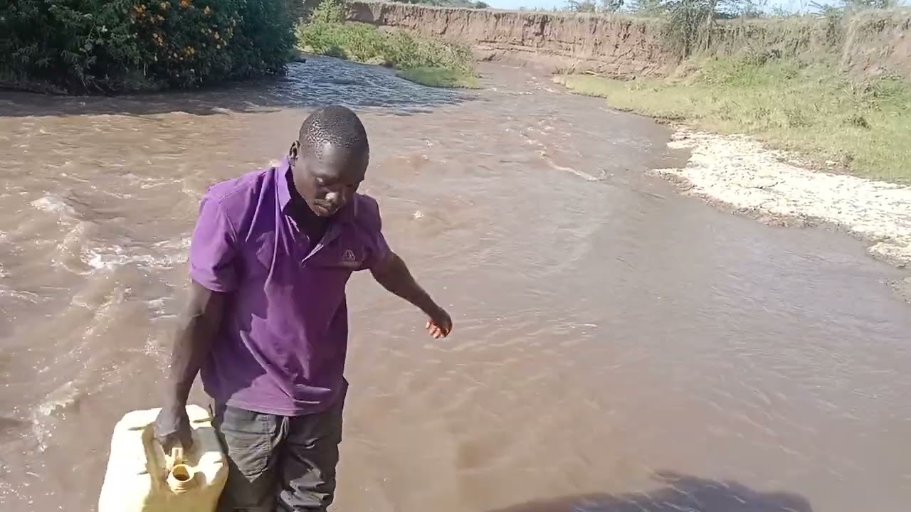 HAND IN HAND WE GO,