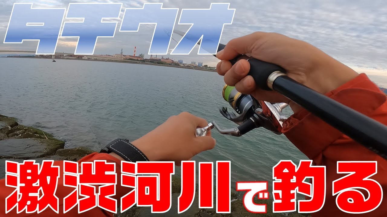【タチウオ釣り】激渋河川からタチウオを引きずり出せ。＜釣り方＞
