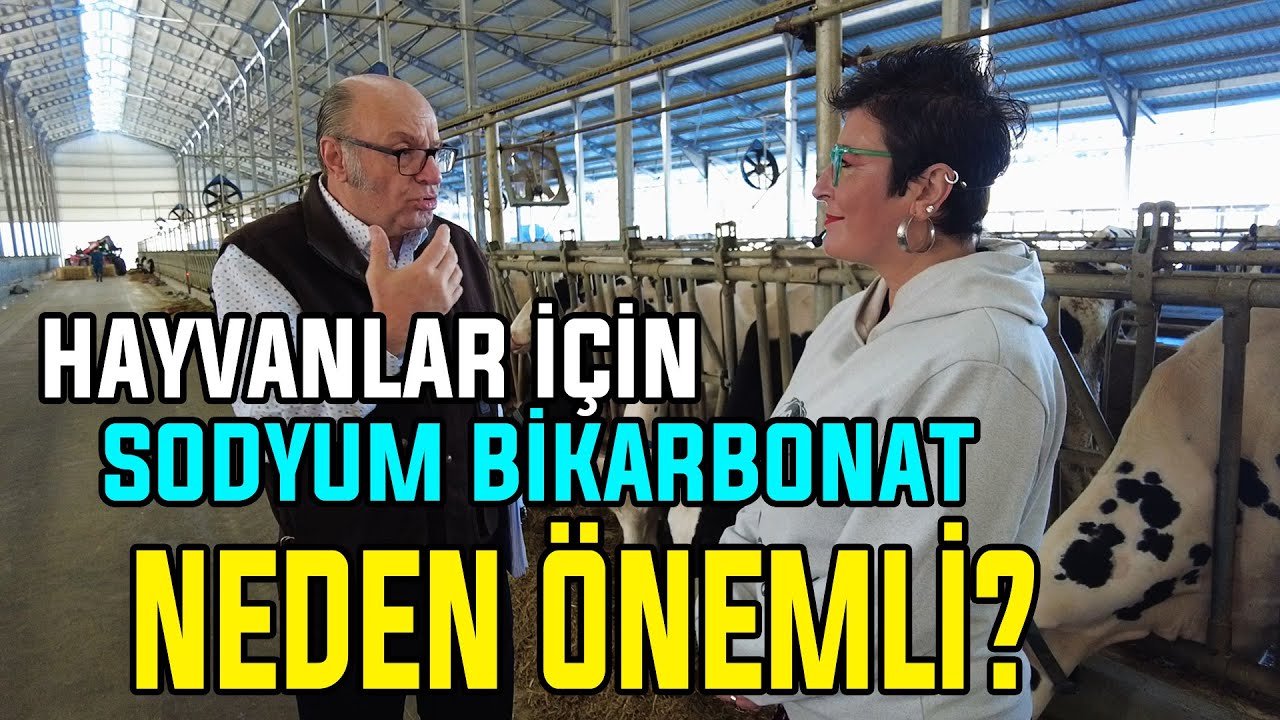 Irkları Melezlerken Nelere Dikkat Edilmeli? / Hayvanlar için GEREKLİ MİNERALLER