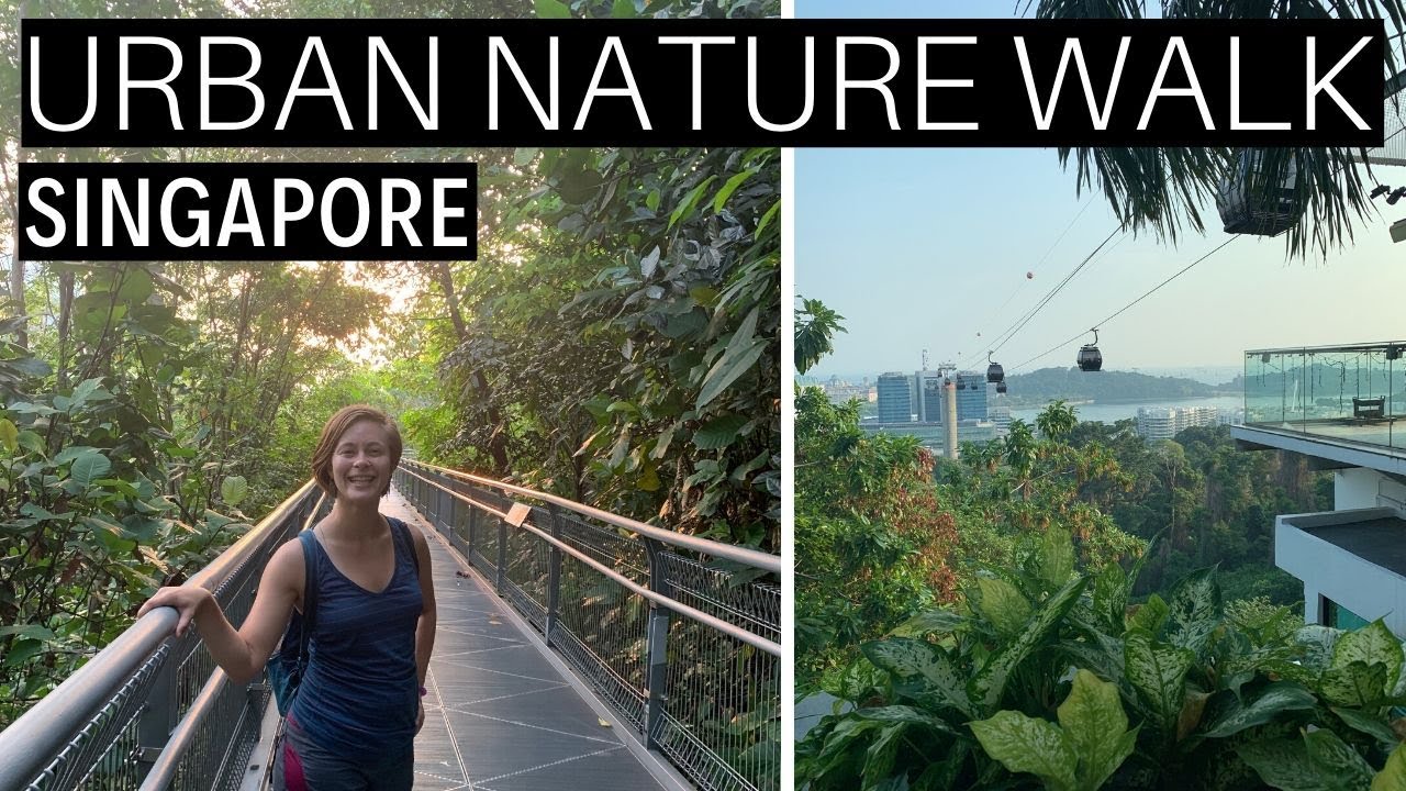 Singapore's Hidden Urban Hiking Trail: Mount Faber Nature Walk