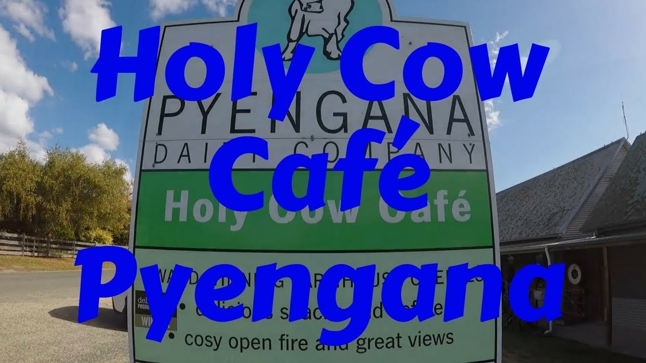 Holy Cow Cafe, Pyengana