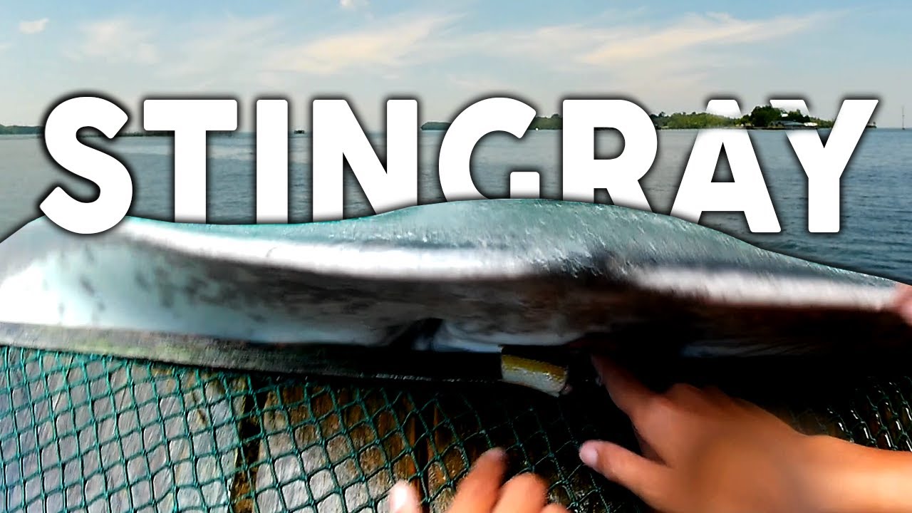 Enchanted River to Sibadan close encounter sea creature