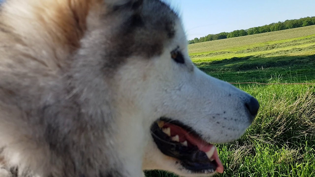 Tikaani Outdoor: Paai tijd voor de karpers
