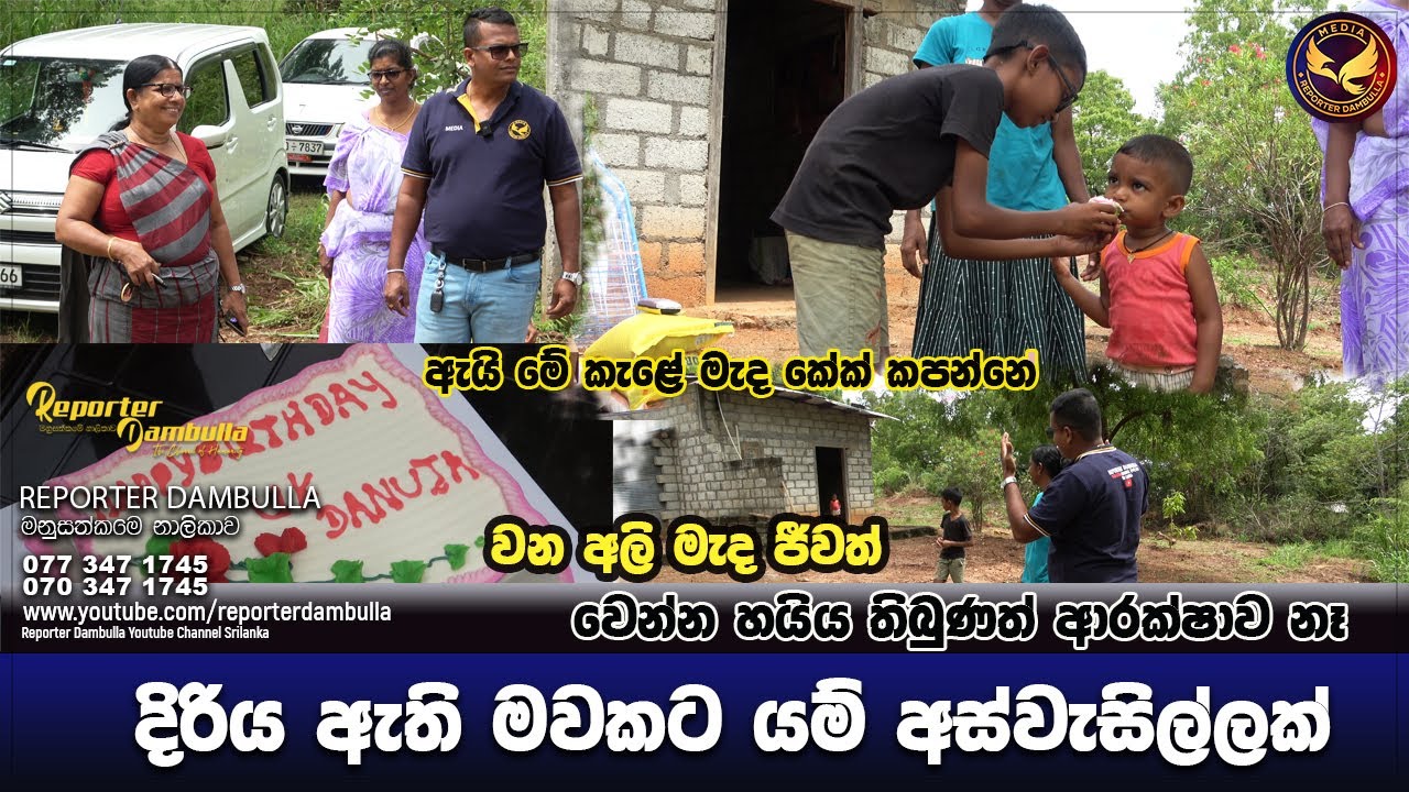 දිරිය ඇති ම්වට යම් අස් වැසිල්ලක් || හිතේ හයිය තිබුණත් ආරක්ෂාවක් නෑ || Reporter Dambulla || Sri Lanka
