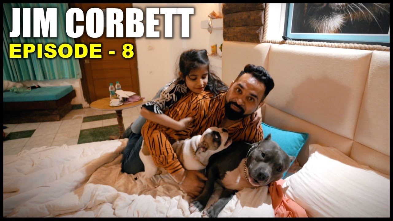 Brody Bunny Room Mein akele reh gye 😥 | Episode - 8 | Jim Corbett