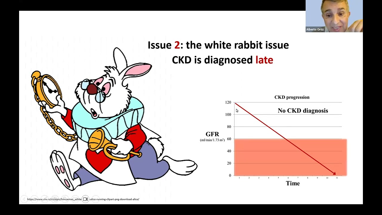 Webinar Enfermedad Renal Cronica Oculta: realmente sabemos el problema?