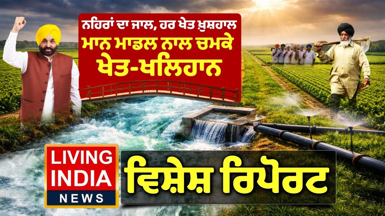 ਨਹਿਰਾਂ ਦਾ ਜਾਲ, ਹਰ ਖੇਤ ਖ਼ੁਸ਼ਹਾਲ, ਮਾਨ ਮਾਡਲ ਨਾਲ ਚਮਕੇ ਖੇਤ-ਖਲਿਹਾਨ | CM Mann | Farming | Special Report