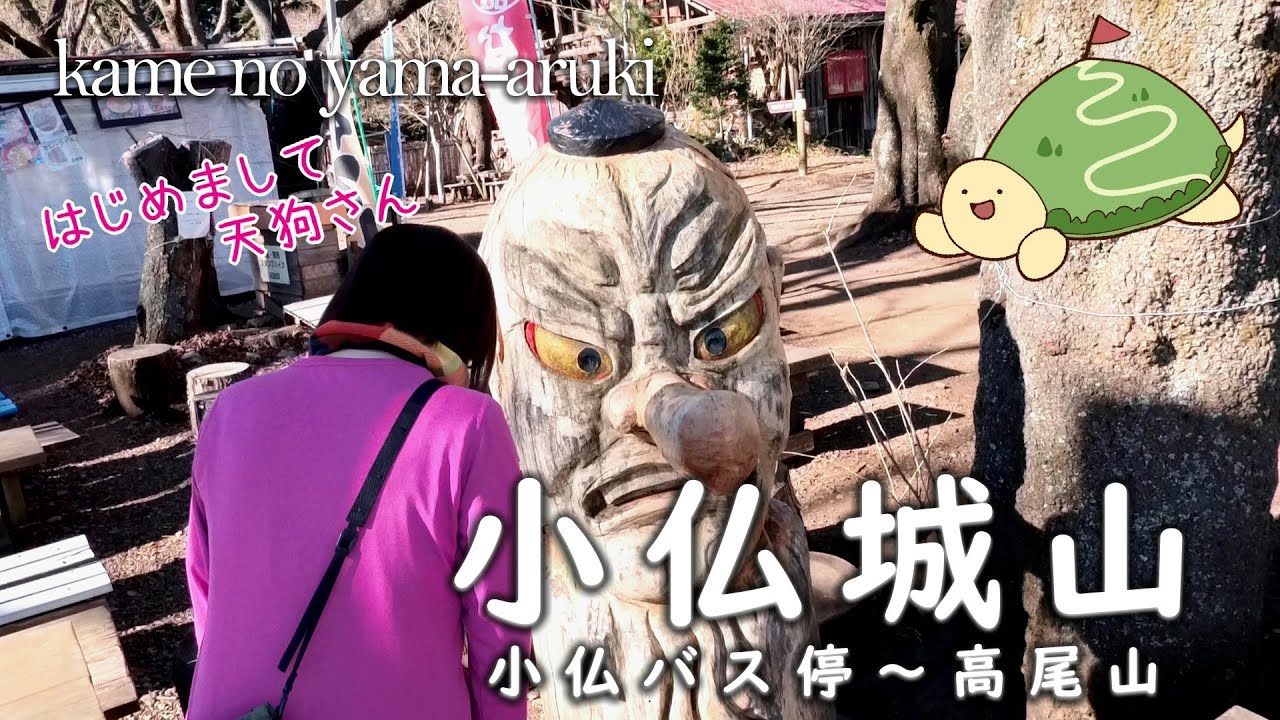 初めての小仏城山｜もっと早く行けばよかった！｜冬の高尾山で氷華に出会う|小仏バス停,景信山登山口,小仏峠駐車場,小仏峠,小仏城山,一丁平氷華,高尾山山頂,富士山,4号路,吊り橋,高尾駅,もみじ台分岐
