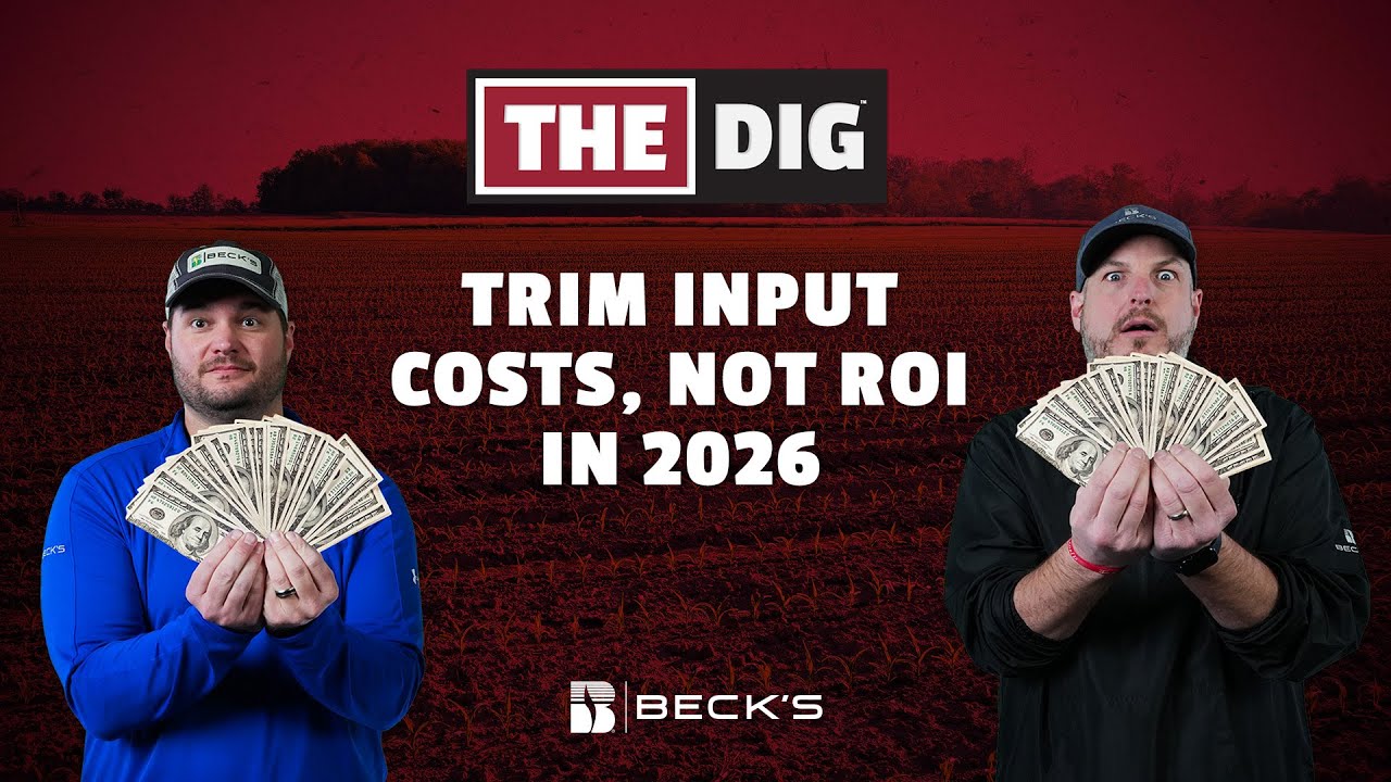 Сокращение затрат, а не рентабельности инвестиций в 2026 году | The Dig