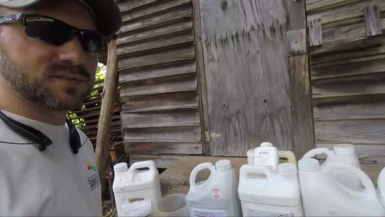 What Herbicides Should I use on My PUMPKINS?!